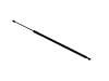 PROP/GAS LIFTGATE - image 1