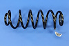 SPRING REAR COIL - image 1