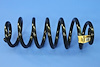 SPRING REAR COIL - image 1
