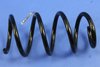 SPRING FRONT COIL - image 2