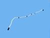 HOSE SUNROOF DRAIN - image 1