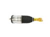 SPRING AIR SUSPENSION - image 3