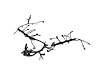 WIRING INJECTOR - image 1