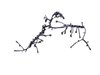 WIRING INJECTOR - image 2