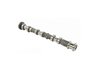 CAMSHAFT EXHAUST - image 2