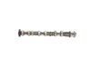 CAMSHAFT EXHAUST - image 4