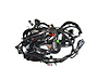 WIRING CHASSIS - image 1