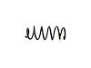 SPRING FRONT COIL - image 1