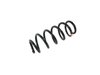 SPRING FRONT COIL - image 2