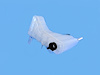 BOTTLE COOLANT RECOVERY - image 1
