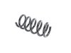 SPRING REAR COIL - image 2