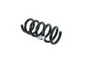 SPRING REAR COIL - image 2