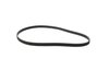BELT SERPENTINE - image 2