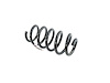 SPRING FRONT COIL - image 1