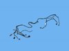 WIRING FRONT END MODULE - image 2