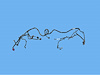 WIRING FRONT END MODULE - image 1