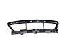 GRILLE LOWER - image 1