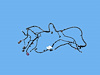 WIRING FRONT END MODULE - image 1