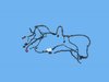 WIRING FRONT END MODULE - image 2