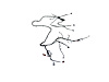 WIRING FRONT END MODULE - image 1