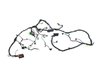 WIRING HEADLAMP TO DASH - image 2