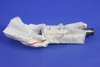 AIR BAG SEAT - image 2