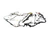WIRING BODY - image 1