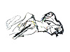 WIRING BODY - image 1