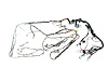 WIRING BODY - image 1