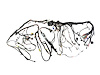 WIRING BODY - image 1