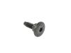 SCREW - image 1