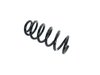 SPRING FRONT COIL - image 2