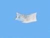 SHIELD STEERING GEAR - image 4