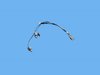 WIRING LICENSE LAMP - image 2