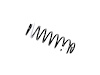 SPRING FRONT COIL - image 1