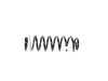 SPRING FRONT COIL - image 3