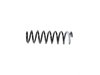 SPRING FRONT COIL - image 2