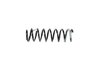 SPRING FRONT COIL - image 2