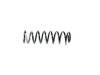 SPRING FRONT COIL - image 2