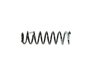 SPRING FRONT COIL - image 3