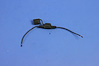HOLDER FUSE - image 1
