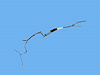 BUNDLE FUEL LINE - image 1