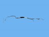 BUNDLE FUEL LINE - image 4