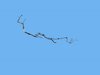 BUNDLE FUEL LINE - image 2