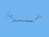 BUNDLE FUEL LINE - image 3