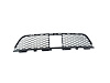 GRILLE LOWER - image 1