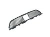 GRILLE LOWER - image 2