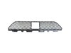 GRILLE LOWER - image 3