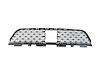 GRILLE LOWER - image 1