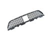 GRILLE LOWER - image 2